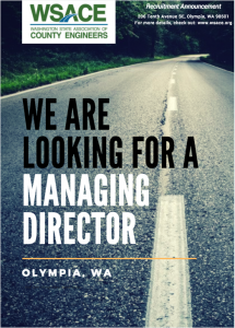 WSACE Managing Director Job Description