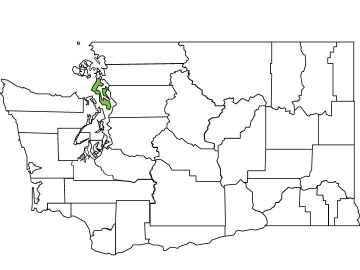 Island County Spotlight Washington State Association of Counties