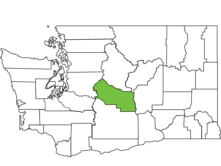 Kittitas County Spotlight Washington State Association of Counties